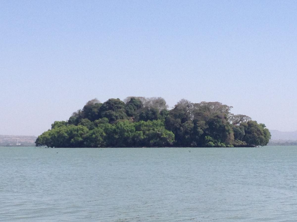 Lakemark Hotel And Tour Service Bahar Dar Esterno foto