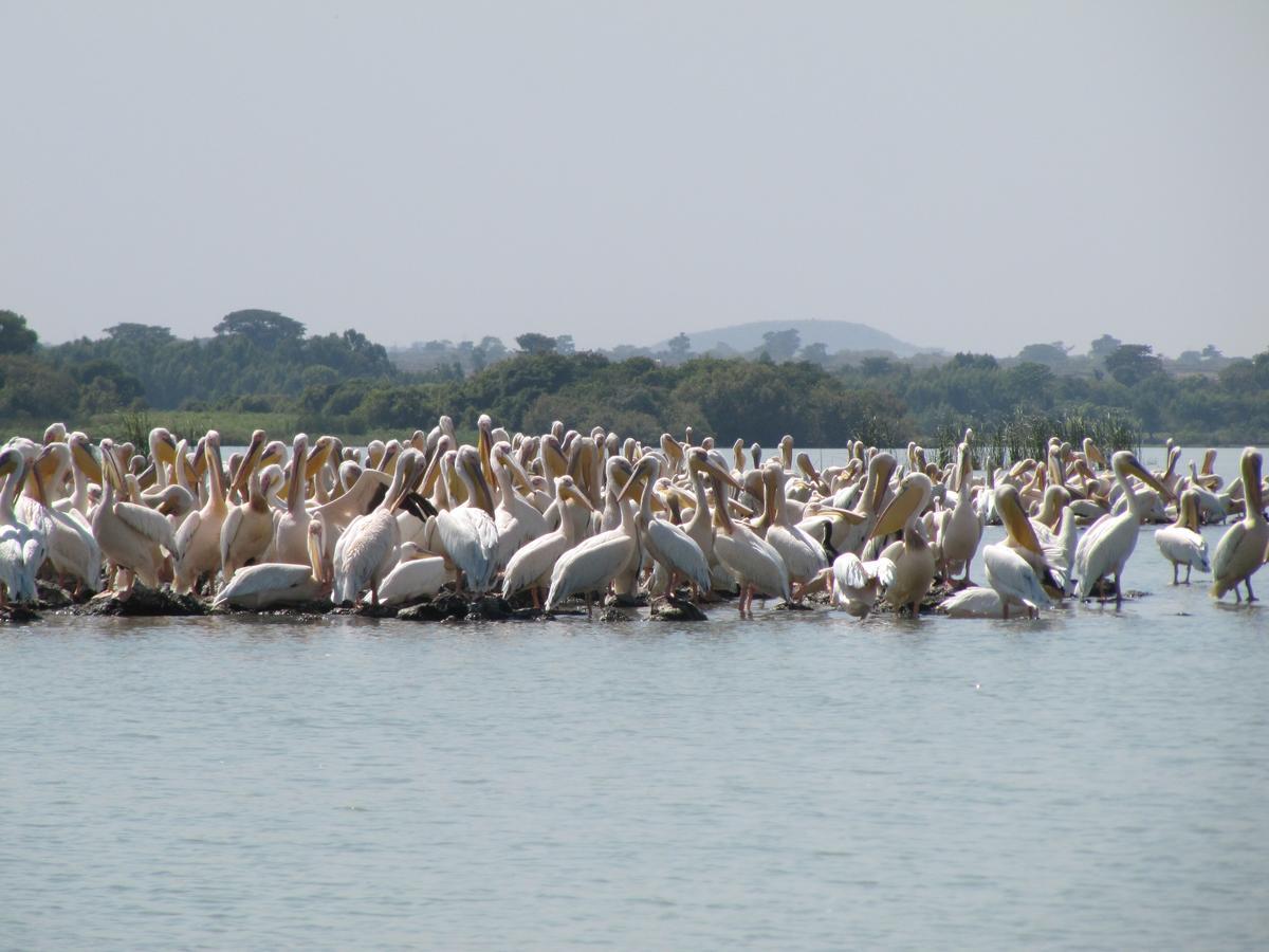 Lakemark Hotel And Tour Service Bahar Dar Esterno foto